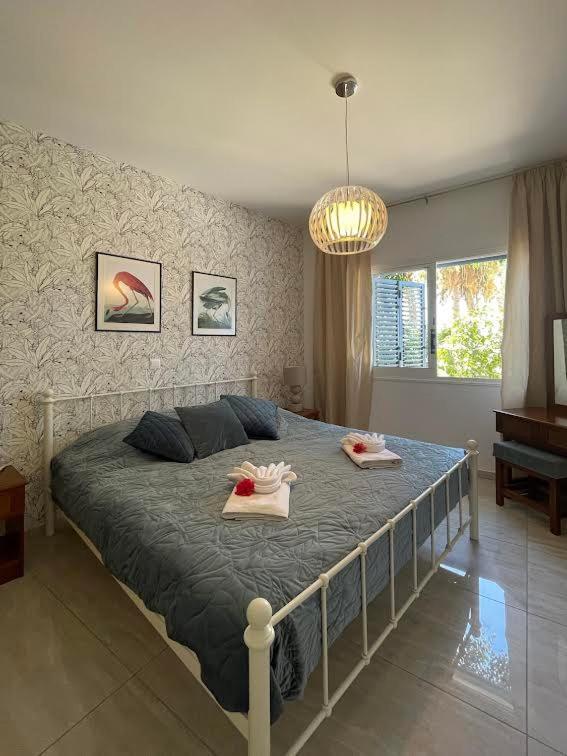 דירות Paphos Timeless Cyprus מראה חיצוני תמונה